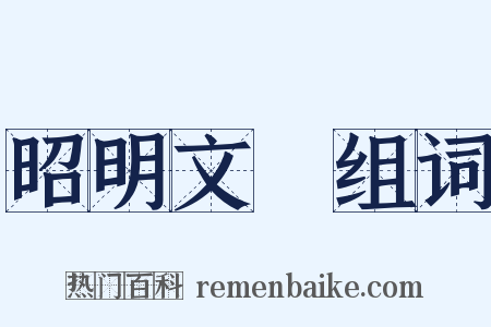 昭明文選组词是什么意思的图片